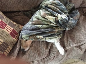 It was cold in the morning so Henry grabbed a blankie