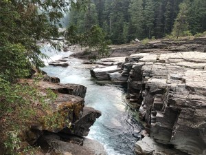 fsDLcu1WTImYYJO8VUZlRA