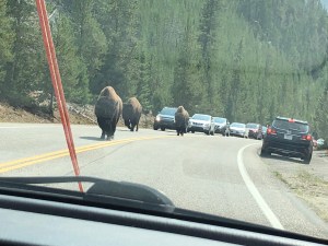 hzqwjNbvR1OIiMUdW8CWSg