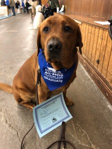 GlxuCYj+Qme6jtklsR4SUg