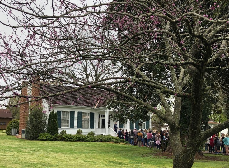 IwN9BXmAS8eTmnfBLW1pTg